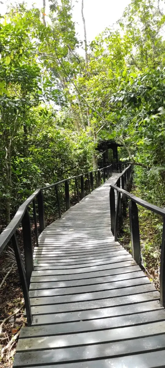 Cahuita National Park Hiking Tour
