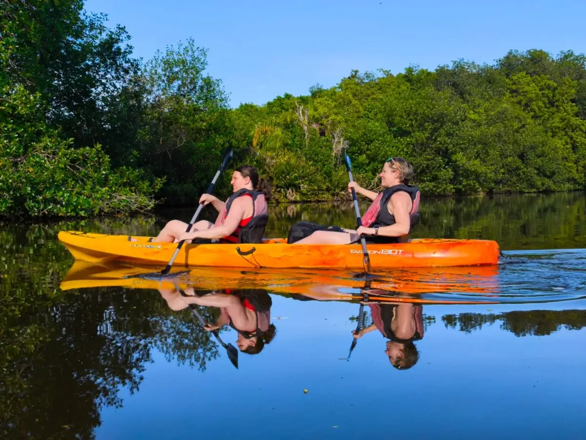 Kayak Tour in Gandoca Lagoon